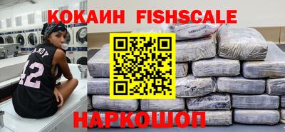 тгк Кингисепп
