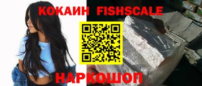 тгк Кингисепп