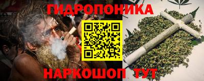 тгк Кингисепп