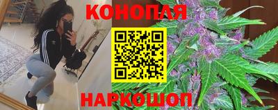 трава Кинель