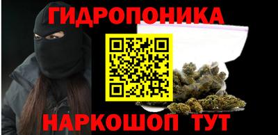тгк Кингисепп