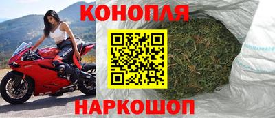 тгк Кингисепп