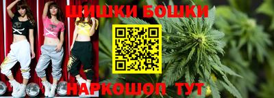 тгк Кингисепп