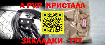 тгк Кингисепп
