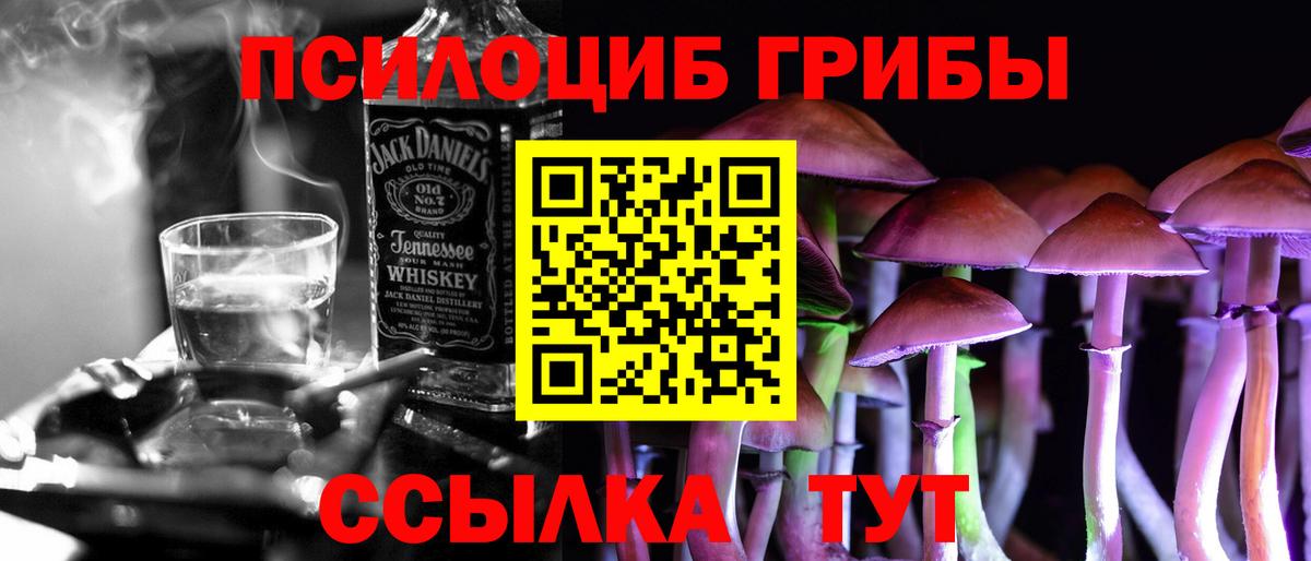 Псилоцибиновые грибы Psilocybe  Псилоцибиновые грибы MAGIC MUSHROOMS  Вход с VPN  Конаково 